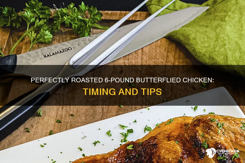 how long to roast a 6 pound butterflied chicken
