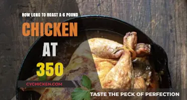 Perfect Roast: 6-Pound Chicken at 350°F Timing Guide