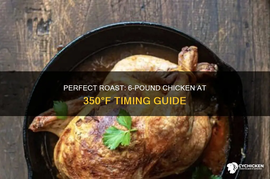 how long to roast a 6 pound chicken at 350