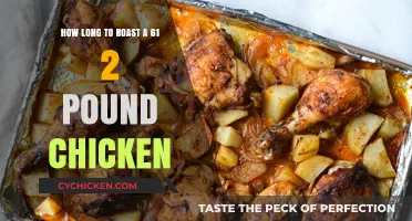Perfect Roast: Timing for a 6.5-Pound Chicken Explained