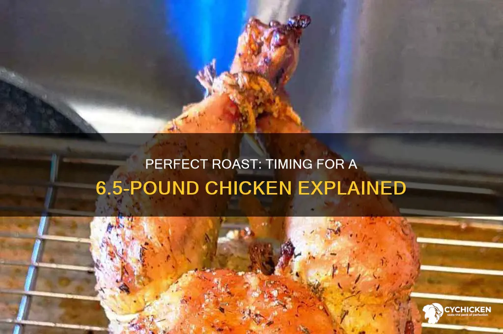 how long to roast a 61 2 pound chicken