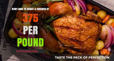 Perfect Roast Chicken: Timing Tips for 375°F Per Pound Cooking