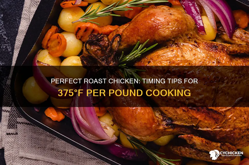 how long to roast a chicken at 375 per pound