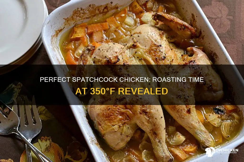 how long to roast a spatchcock chicken at 350