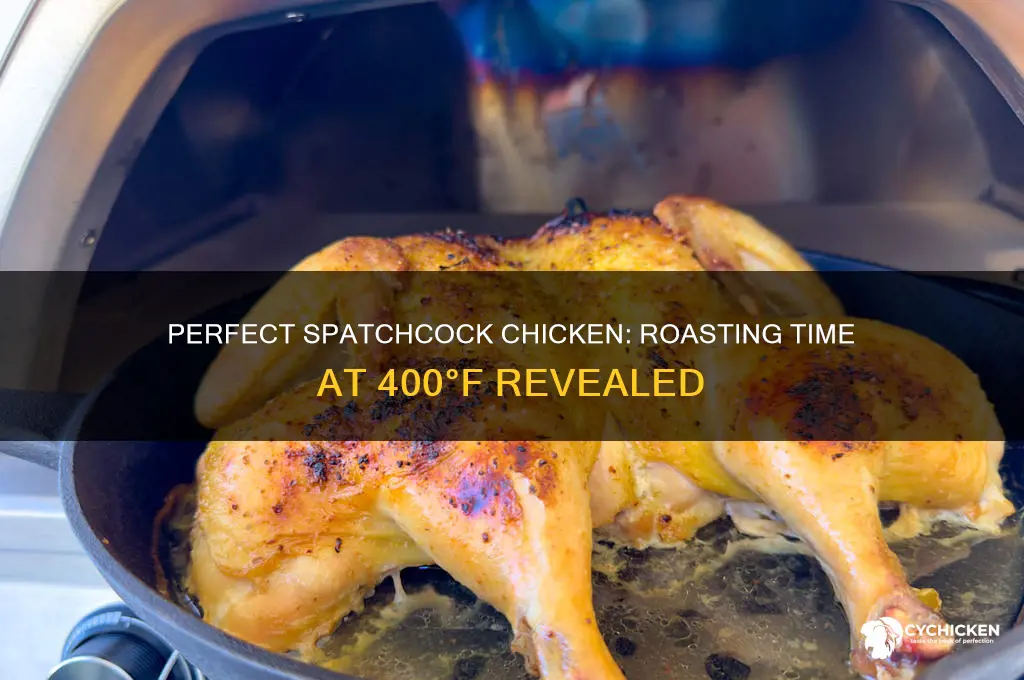 how long to roast a spatchcock chicken at 400