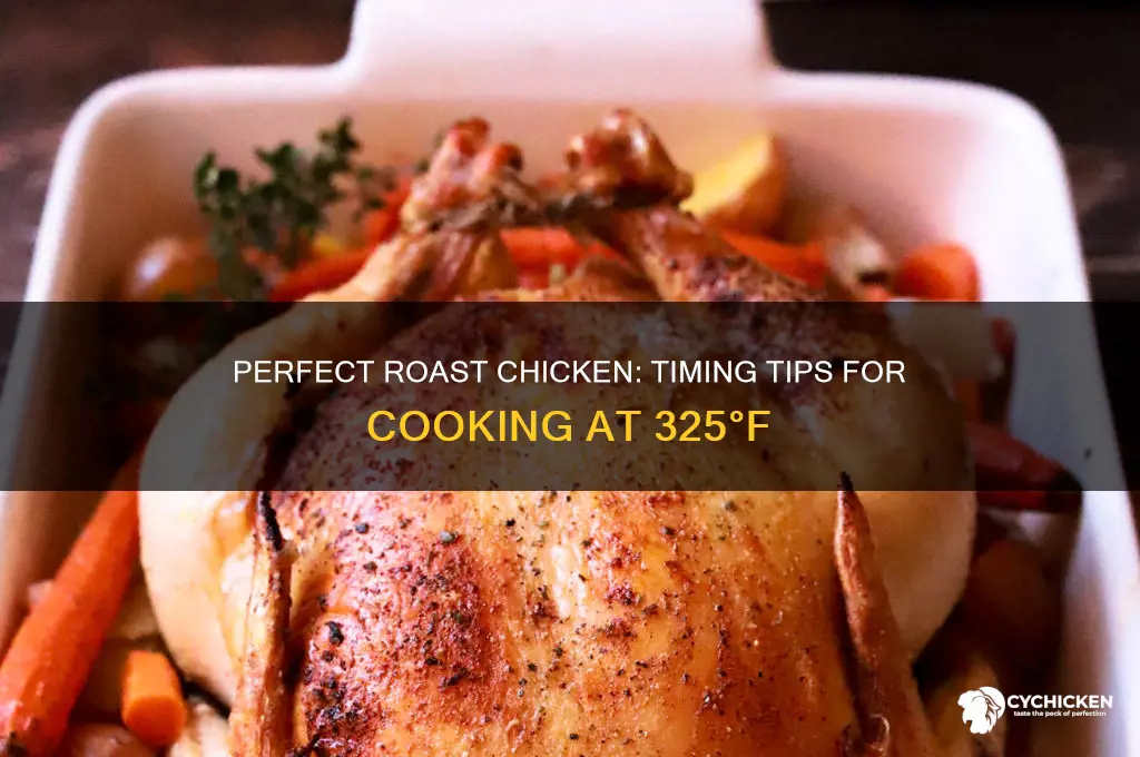 how long to roast whole chicken at 325