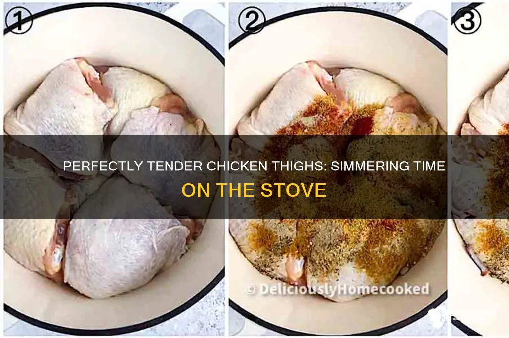 how long to simmer chicken thighs on stove