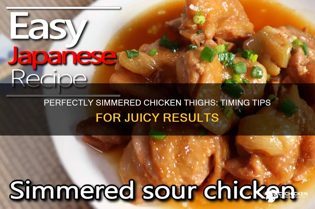 how long to simmer chicken thighs
