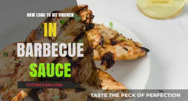 Perfect Barbecue Chicken: Ideal Time for Sauce Marinating Tips