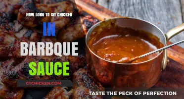 Perfect BBQ Chicken: Ideal Time for Sauce Marinating Explained