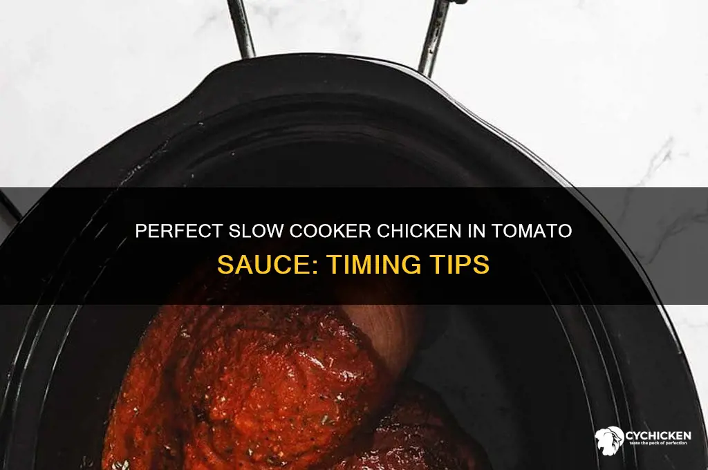 how long to slow cook chicken and tomaot sauce