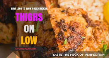 Perfectly Tender Slow-Cooked Chicken Thighs: Low and Slow Timing Guide