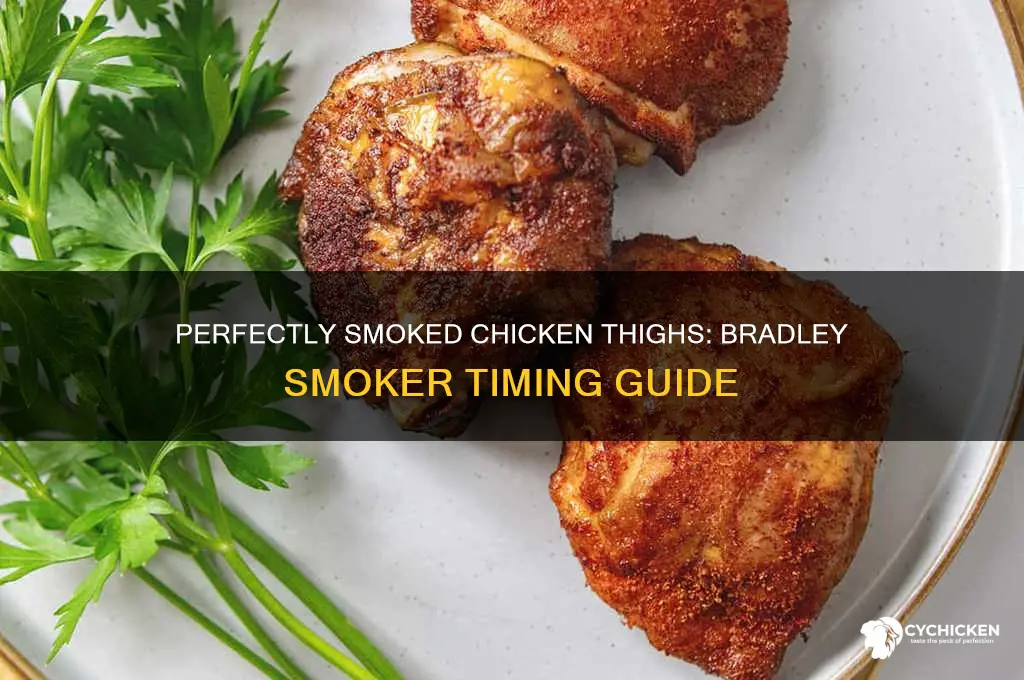 how long to smoke chicken thighs in a bradley smoker