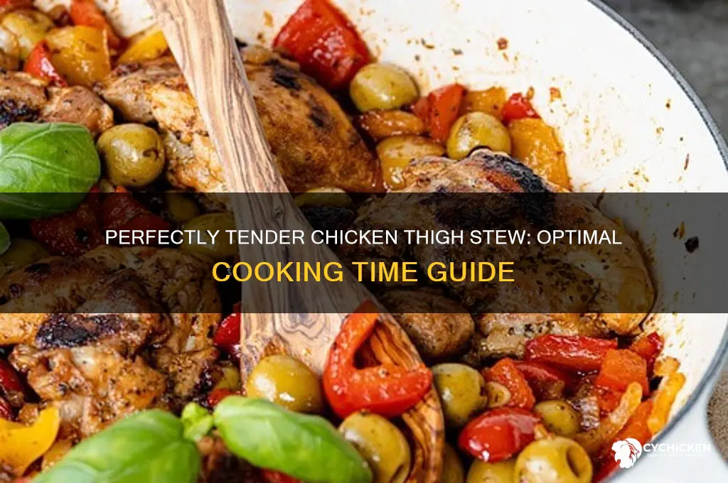 how long to stew chicken thighs