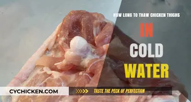 Quick Thawing Guide: Safely Defrost Chicken Thighs in Cold Water