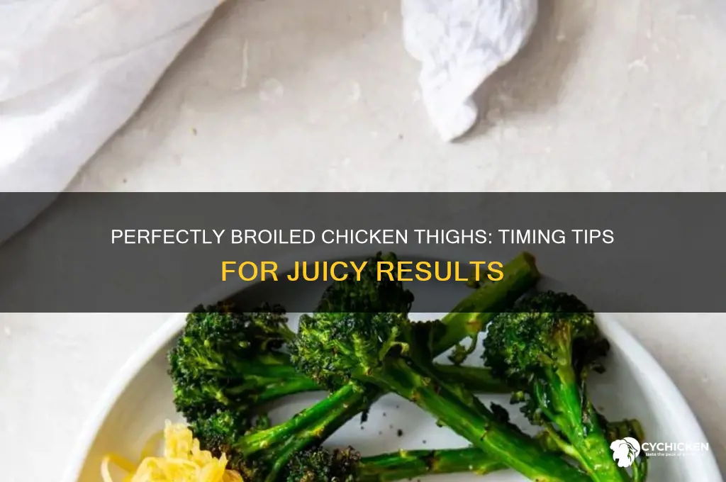 how long to you broil chicken thighs