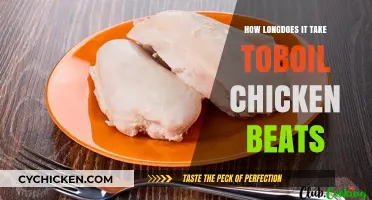 Boiling Chicken Breasts: Timing Tips for Perfectly Cooked Meat