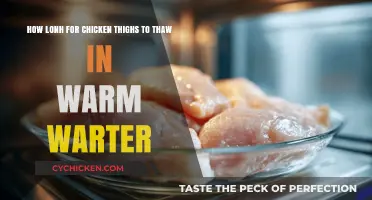 Quick Thawing Tips: Safely Defrosting Chicken Thighs in Warm Water