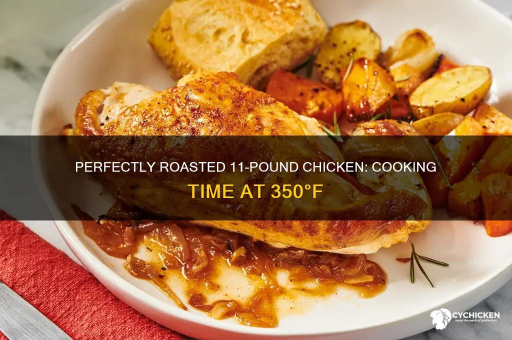 how lonh on 11 piund chicken at 350
