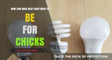 Optimal Heat Light Distance for Chicks