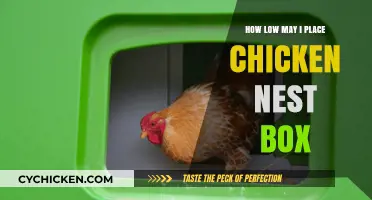 Optimal Nest Box Placement for Happy, Productive Chickens: A Guide