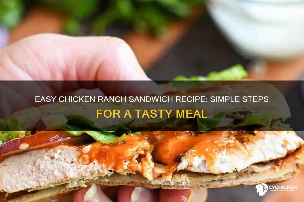 how made chicken ranch sandwich