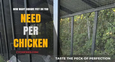 Space Planning: Square Footage Per Chicken