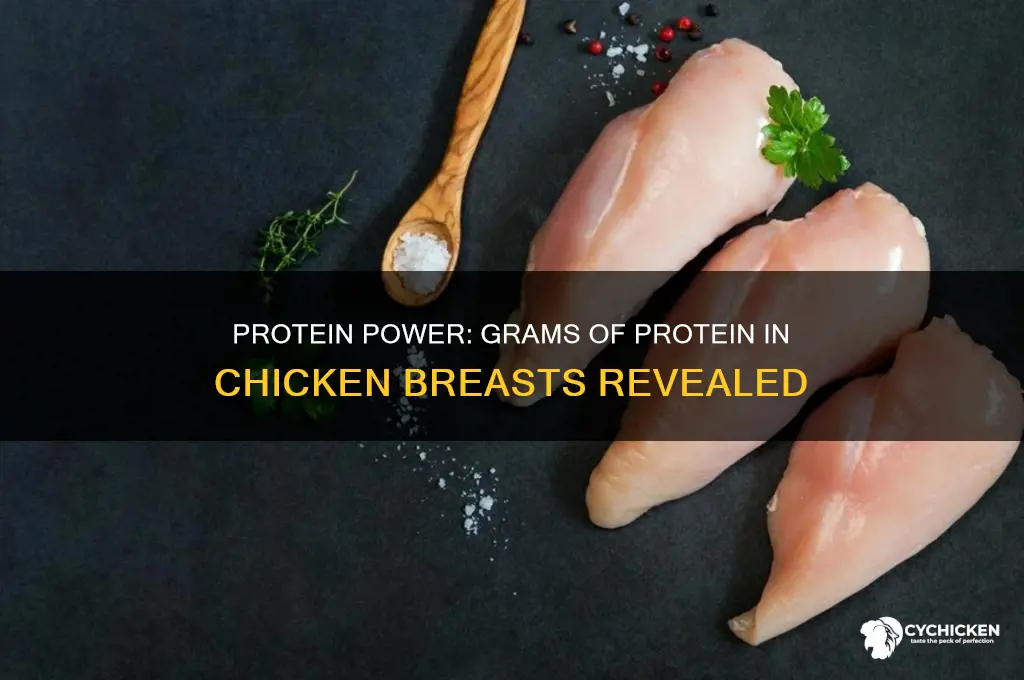 how mamy grams kf protein in chicken breats