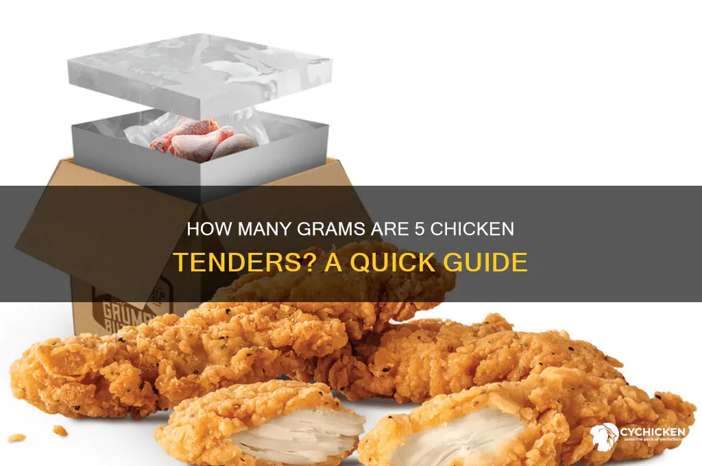 how man gram r 5 chicken temders