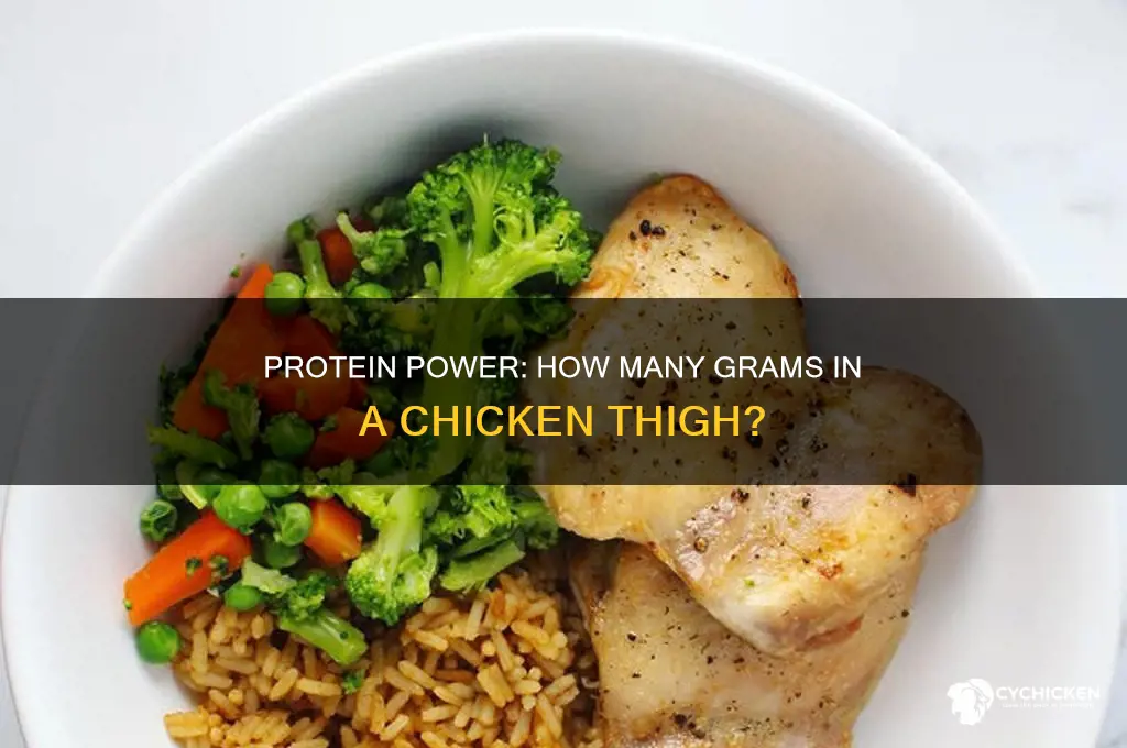 how man grams of protein in chicken thigh
