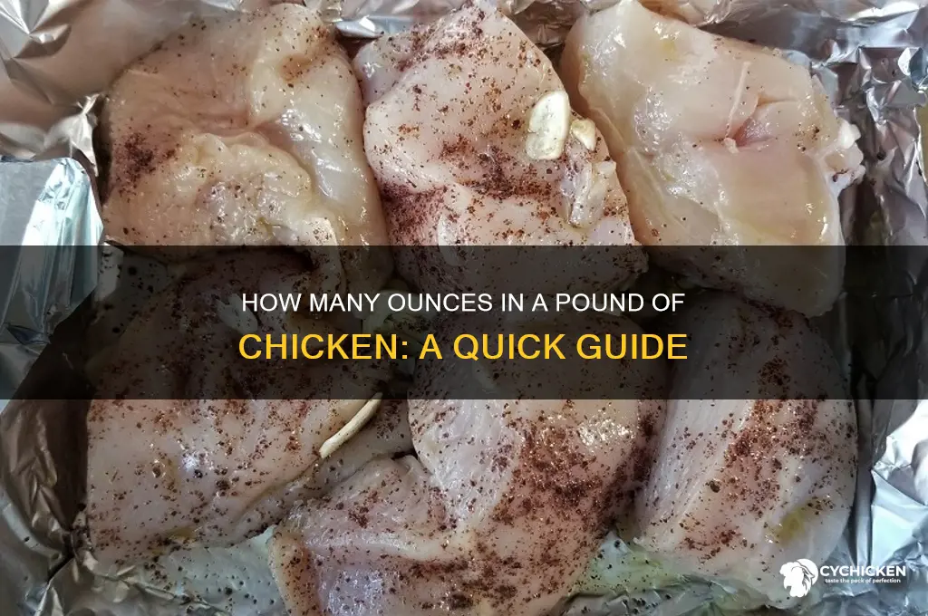 how man oz in a lb of chicken