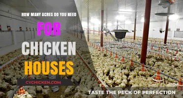 Space Planning: Chicken Houses and Acreage