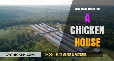 Sizing Your Chicken House: Acreage Requirements for Happy, Healthy Flocks