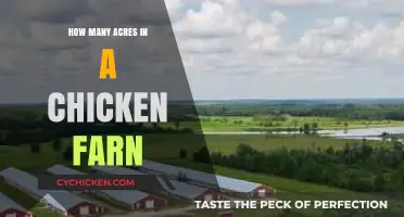 Understanding Acreage Requirements for Efficient Chicken Farming Operations