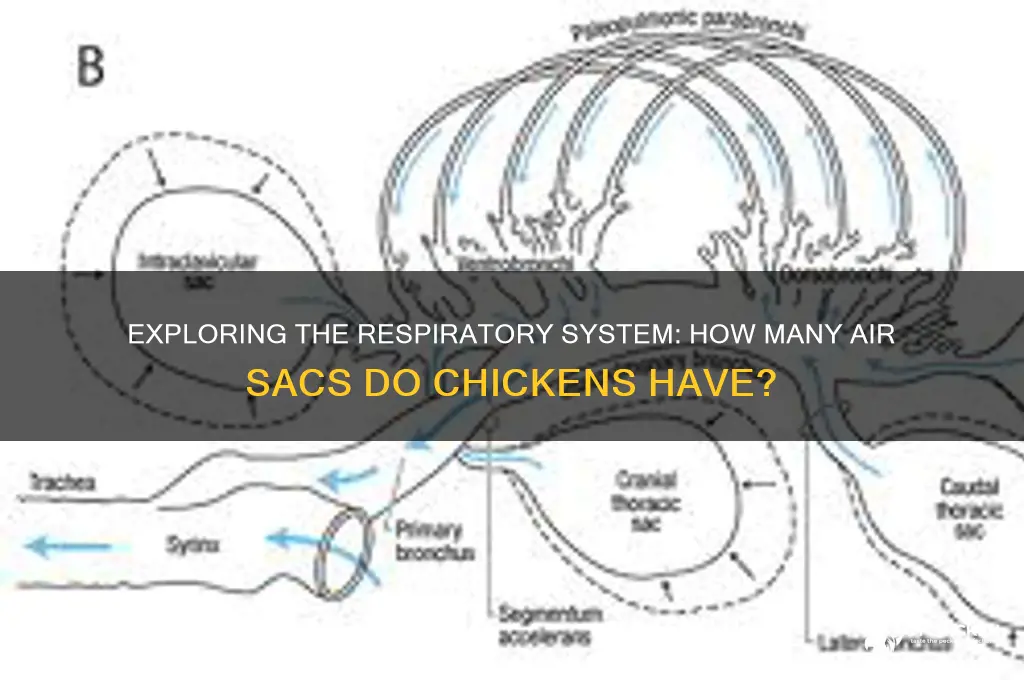 how many air sacs does a chicken have