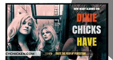 Dixie Chicks Discography: Exploring Their Studio Albums and Musical Journey