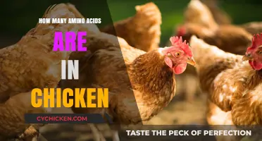 Discover the Amino Acid Count in Chicken: A Nutritional Breakdown