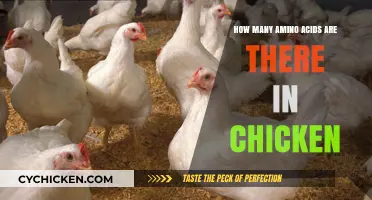 Discovering the Amino Acid Profile in Chicken: A Comprehensive Guide