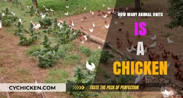 Understanding Animal Units: How Chickens Fit into Farm Calculations