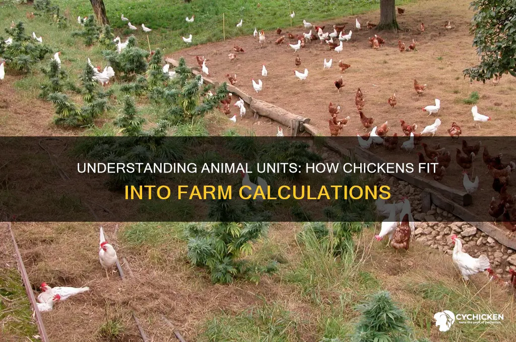 how many animal units is a chicken