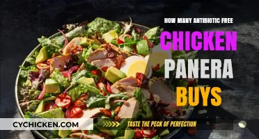 Panera's Commitment: Antibiotic-Free Chicken Sourcing and Sustainability