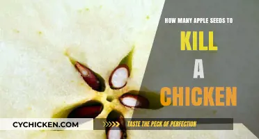 Are Apple Seeds Toxic to Chickens? Understanding the Lethal Dose