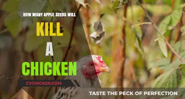 Apple Seeds Toxicity: How Many Can Be Fatal to Chickens?
