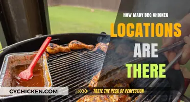 Discovering the Total Number of BBQ Chicken Locations Worldwide