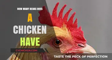 Unraveling the Myth: How Many Beaks Does a Chicken Really Have?