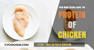 Beans vs. Chicken: Comparing Protein Content for a Balanced Diet