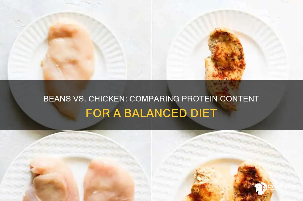 how many beans equal the protein of chicken