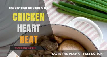 Chicken Heartbeats: How Fast Do They Go?