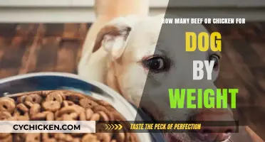 Meat Portions for Dogs: Beef and Chicken Weights