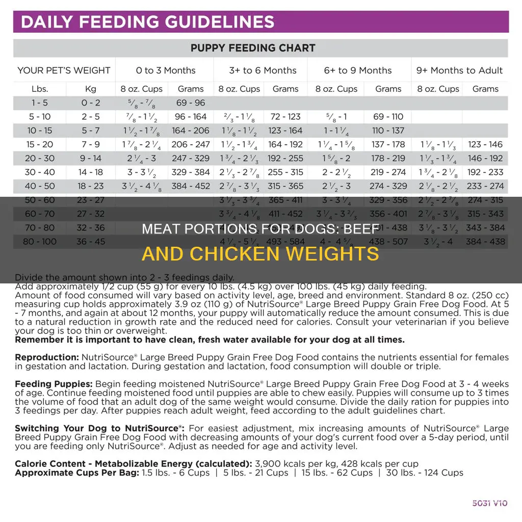 how many beef or chicken for dog by weight